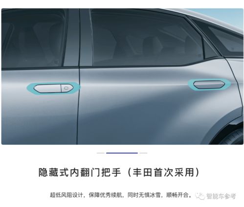 胖熊天下(恋老胖熊),第2张 胖熊天下(恋老胖熊),胖熊天下(恋老胖熊),第2张