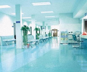 韩华pvc地板(韩国韩华pvc塑胶地板),第1张 韩华pvc地板(韩国韩华pvc塑胶地板),韩华pvc地板(韩国韩华pvc塑胶地板),第1张