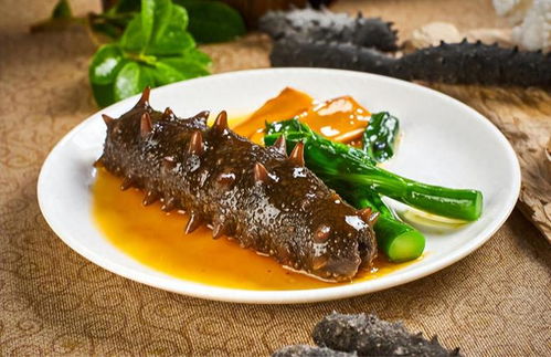 干鲍鱼的做法发泡(干鲍鱼泡发怎么做),第3张 干鲍鱼的做法发泡(干鲍鱼泡发怎么做),干鲍鱼的做法发泡(干鲍鱼泡发怎么做),第3张