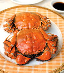 香辣大闸蟹图片(香辣大闸蟹图片高清),第1张 香辣大闸蟹图片(香辣大闸蟹图片高清),香辣大闸蟹图片(香辣大闸蟹图片高清),第1张