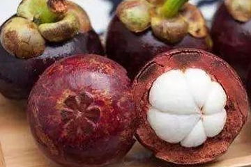 山竹吃多了有什么危害（山竹吃多了有什么害处）,山竹吃多了有什么危害（山竹吃多了有什么害处）,第2张