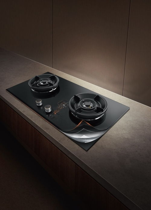 煤气灶品牌（煤气灶品牌前十名价格）,煤气灶品牌（煤气灶品牌前十名价格）,第3张