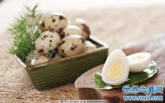 男人补品大全（男人补品靠前排行榜）,男人补品大全（男人补品靠前排行榜）,第2张