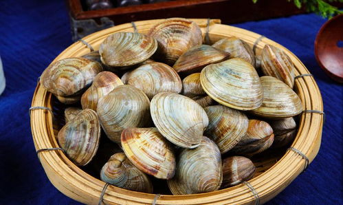 花甲怎么做好吃又简单步骤(花甲怎么做好吃又简单步骤图片),第3张 花甲怎么做好吃又简单步骤(花甲怎么做好吃又简单步骤图片),花甲怎么做好吃又简单步骤(花甲怎么做好吃又简单步骤图片),第3张