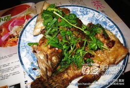 干烧桂鱼的做法(回家吃饭干烧鳜鱼),第1张 干烧桂鱼的做法(回家吃饭干烧鳜鱼),干烧桂鱼的做法(回家吃饭干烧鳜鱼),第1张