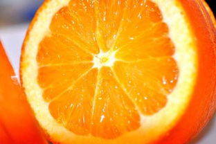 白蚕豆(白蚕豆笔游),第1张 白蚕豆(白蚕豆笔游),白蚕豆(白蚕豆笔游),第1张