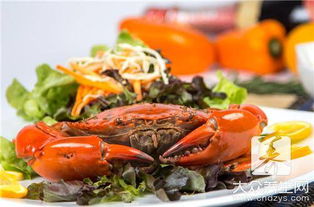 上海建材市场(上海建材市场哪个最大性价比超高),第3张 上海建材市场(上海建材市场哪个最大性价比超高),上海建材市场(上海建材市场哪个最大性价比超高),第3张