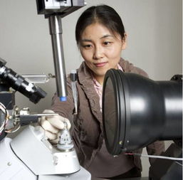 transporter(transporters),第3张 transporter(transporters),transporter(transporters),第3张