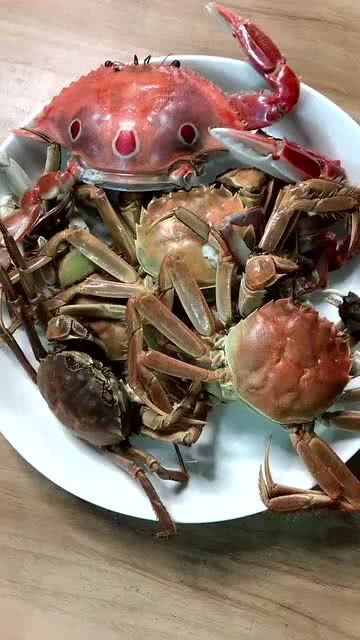 上海办公室装修公司：智能家居设备之王：全新吸尘机器人的横空出世！,上海办公室装修公司：智能家居设备之王：全新吸尘机器人的横空出世！,第1张