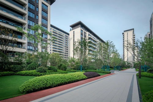 北岸布鲁斯（北岸布鲁斯 芳清园）,北岸布鲁斯（北岸布鲁斯 芳清园）,第1张