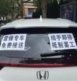 铁皮石斛怎么吃（铁皮石斛怎么吃是正确的方法）,铁皮石斛怎么吃（铁皮石斛怎么吃是正确的方法）,第2张