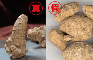 上海办公室设计:揭秘乔任梁葛优、周星驰的竞争关系,凶手为谁?,第3张 上海办公室设计:揭秘乔任梁葛优、周星驰的竞争关系,凶手为谁?,上海办公室设计:揭秘乔任梁葛优、周星驰的竞争关系,凶手为谁?,第3张