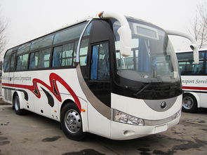 东营汽车（东营汽车东站时刻表）,东营汽车（东营汽车东站时刻表）,第2张