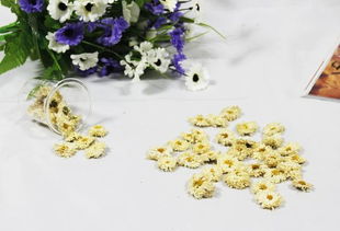 菊花枕头（菊花枕头功效与作用可以睡吗）,菊花枕头（菊花枕头功效与作用可以睡吗）,第1张