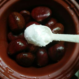 栗子的做法大全家常做法视频(水煮板栗的正确做法),第3张 栗子的做法大全家常做法视频(水煮板栗的正确做法),栗子的做法大全家常做法视频(水煮板栗的正确做法),第3张