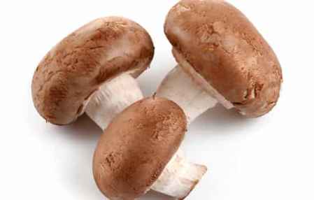 对子宫好的食物(对子宫好的食物是哪些),第2张 对子宫好的食物(对子宫好的食物是哪些),对子宫好的食物(对子宫好的食物是哪些),第2张