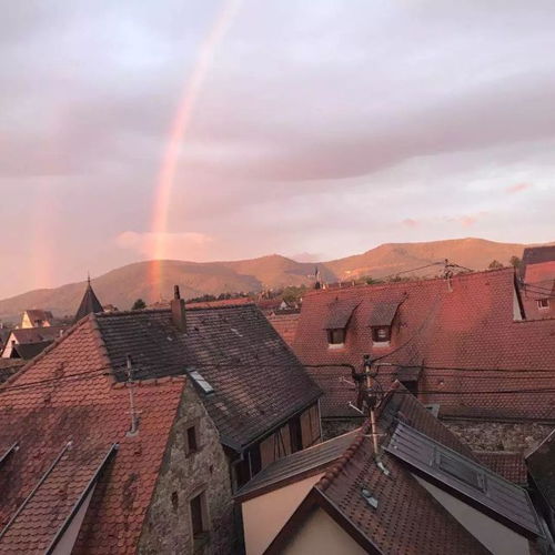 阿尔萨斯葡萄酒(阿尔萨斯葡萄酒之路),第2张 阿尔萨斯葡萄酒(阿尔萨斯葡萄酒之路),阿尔萨斯葡萄酒(阿尔萨斯葡萄酒之路),第2张