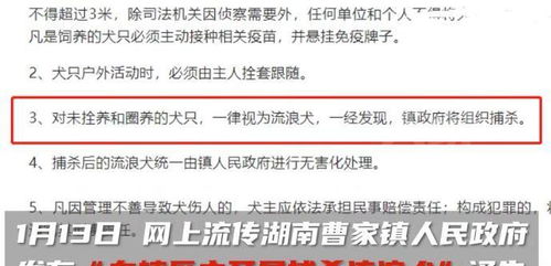 湖南装饰公司(湖南装饰公司法定代表人凌喜邦),第3张 湖南装饰公司(湖南装饰公司法定代表人凌喜邦),湖南装饰公司(湖南装饰公司法定代表人凌喜邦),第3张