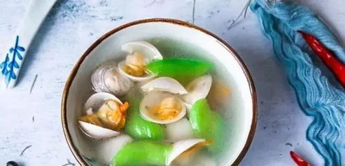 文蛤汤的做法的简单介绍,第1张 文蛤汤的做法的简单介绍,文蛤汤的做法的简单介绍,第1张