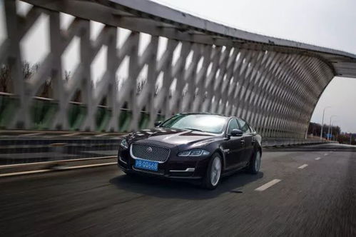 考驾照的基本流程（考驾照的基本流程体检）,考驾照的基本流程（考驾照的基本流程体检）,第2张