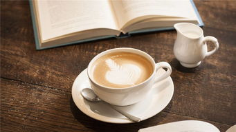 咖啡豆怎么吃(猫屎咖啡豆怎么吃),第2张 咖啡豆怎么吃(猫屎咖啡豆怎么吃),咖啡豆怎么吃(猫屎咖啡豆怎么吃),第2张