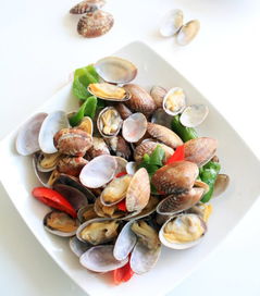 2012车展(2012车展DJ),第2张 2012车展(2012车展DJ),2012车展(2012车展DJ),第2张