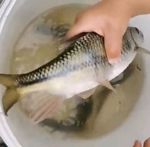 五金指什么（五经指什么）,五金指什么（五经指什么）,第1张