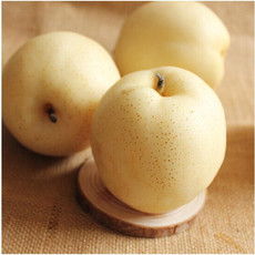 果梨的简单介绍,第3张 果梨的简单介绍,果梨的简单介绍,第3张