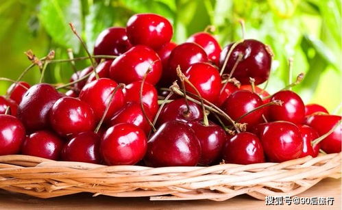 樱桃和车厘子的区别（樱桃和车厘子的区别图片）,樱桃和车厘子的区别（樱桃和车厘子的区别图片）,第1张