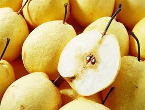 雪梨银耳汤的功效与作用(雪梨的功效与作用),第2张 雪梨银耳汤的功效与作用(雪梨的功效与作用),雪梨银耳汤的功效与作用(雪梨的功效与作用),第2张