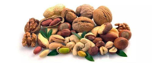 牛骨汤的做法大全家常汤(牛骨汤的做法视频),第2张 牛骨汤的做法大全家常汤(牛骨汤的做法视频),牛骨汤的做法大全家常汤(牛骨汤的做法视频),第2张