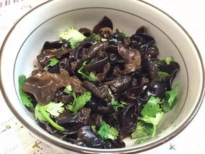 凉拌木耳的做法大全家常(凉拌木耳的做法 最正宗的做法),第1张 凉拌木耳的做法大全家常(凉拌木耳的做法 最正宗的做法),凉拌木耳的做法大全家常(凉拌木耳的做法 最正宗的做法),第1张