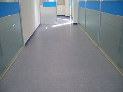 韩华pvc地板(韩国韩华pvc塑胶地板),第3张 韩华pvc地板(韩国韩华pvc塑胶地板),韩华pvc地板(韩国韩华pvc塑胶地板),第3张