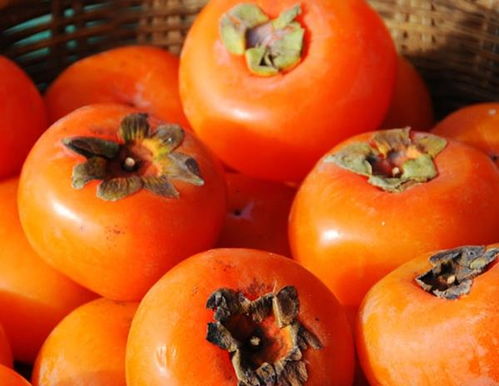 申鹭达水龙头价格（申鹭达水管怎么样）,申鹭达水龙头价格（申鹭达水管怎么样）,第3张