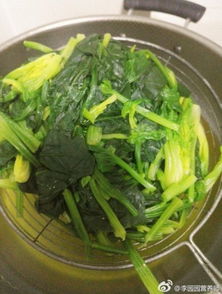 新车型(新车型开发流程),第1张 新车型(新车型开发流程),新车型(新车型开发流程),第1张