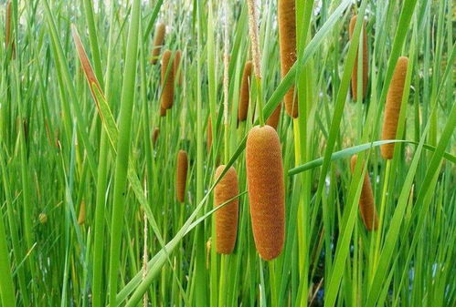 上海厂房装修:灯具常识:灯座尺寸与规格指南,第1张 上海厂房装修:灯具常识:灯座尺寸与规格指南,上海厂房装修:灯具常识:灯座尺寸与规格指南,第1张