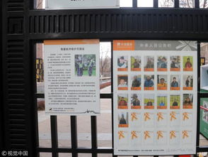 神韵瓷砖(神韵瓷砖价格表800x800),第2张 神韵瓷砖(神韵瓷砖价格表800x800),神韵瓷砖(神韵瓷砖价格表800x800),第2张