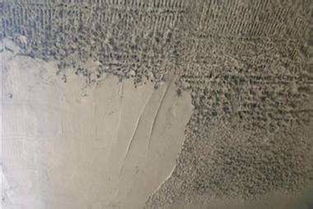 世友地板旗舰店(世友地板旗下品牌),第3张 世友地板旗舰店(世友地板旗下品牌),世友地板旗舰店(世友地板旗下品牌),第3张