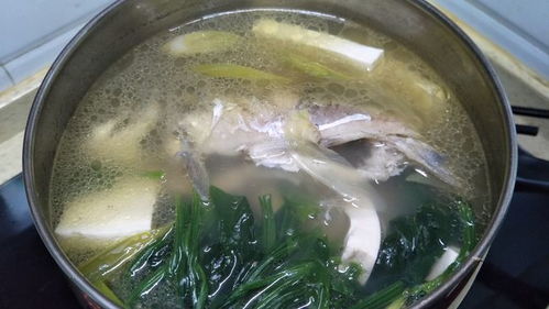 鲫鱼汤做法及步骤(怎么做鲫鱼汤好吃又简单的做法),第2张 鲫鱼汤做法及步骤(怎么做鲫鱼汤好吃又简单的做法),鲫鱼汤做法及步骤(怎么做鲫鱼汤好吃又简单的做法),第2张