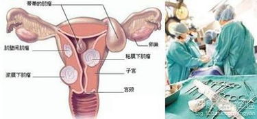 上海办公室空间装修:宜华木业:如何实现与社会共赢?,第1张 上海办公室空间装修:宜华木业:如何实现与社会共赢?,上海办公室空间装修:宜华木业:如何实现与社会共赢?,第1张