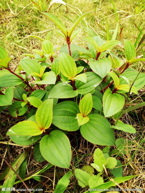 上海办公楼装修公司:混凝土搅拌机功率的重要性及如何选择适合的搅拌机,第2张 上海办公楼装修公司:混凝土搅拌机功率的重要性及如何选择适合的搅拌机,上海办公楼装修公司:混凝土搅拌机功率的重要性及如何选择适合的搅拌机,第2张