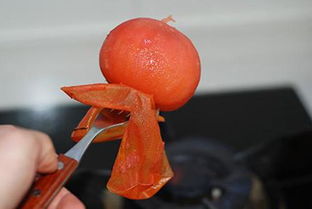 番茄酱制作(番茄酱制作方法),第2张 番茄酱制作(番茄酱制作方法),番茄酱制作(番茄酱制作方法),第2张