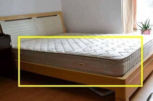 上海办公楼装修设计:宁波索菲亚婚纱摄影的美丽传说,第3张 上海办公楼装修设计:宁波索菲亚婚纱摄影的美丽传说,上海办公楼装修设计:宁波索菲亚婚纱摄影的美丽传说,第3张