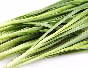 韭菜的功效（韭菜的功效与作用禁忌）,韭菜的功效（韭菜的功效与作用禁忌）,第1张