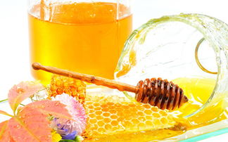 蜂蜜怎么样(蜂蜜怎么样辨别),第1张 蜂蜜怎么样(蜂蜜怎么样辨别),蜂蜜怎么样(蜂蜜怎么样辨别),第1张