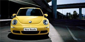 北京市摇号结果查询(北京摇号结果查询官网页面),第3张 北京市摇号结果查询(北京摇号结果查询官网页面),北京市摇号结果查询(北京摇号结果查询官网页面),第3张