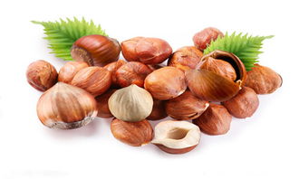 孕妇吃哪些坚果好(备孕吃什么坚果好),第1张 孕妇吃哪些坚果好(备孕吃什么坚果好),孕妇吃哪些坚果好(备孕吃什么坚果好),第1张