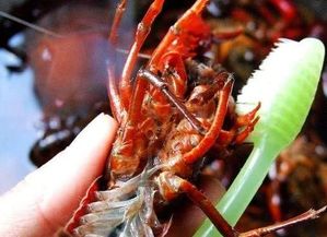 包含小龙虾清洗方法的词条,第1张 包含小龙虾清洗方法的词条,包含小龙虾清洗方法的词条,第1张