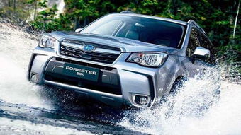 斯巴鲁森林人召回（斯巴鲁森林人怎么样）,斯巴鲁森林人召回（斯巴鲁森林人怎么样）,第1张