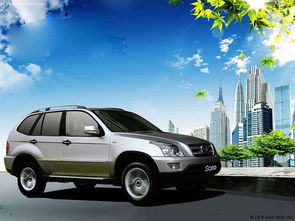 双环suv（双环SUV学码方法）,双环suv（双环SUV学码方法）,第1张